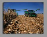 Supplying Grain Dryer Air Swithces for 50 years